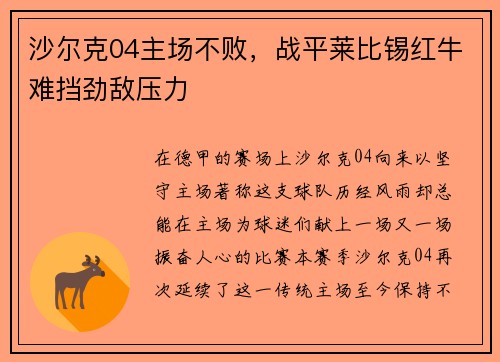 沙尔克04主场不败，战平莱比锡红牛难挡劲敌压力